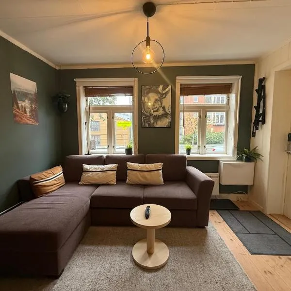 Rustic Retreat Apartment, Central & free parking !，位于特隆赫姆的酒店