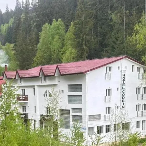 Hotel NOU Codrin，位于瓦特拉多尔内的酒店