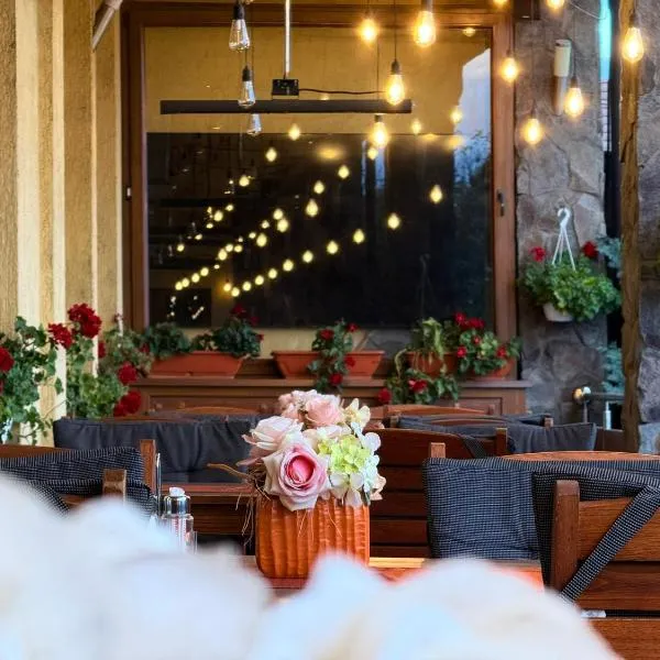 Hotel Valea Regilor Reghin，位于雷京的酒店