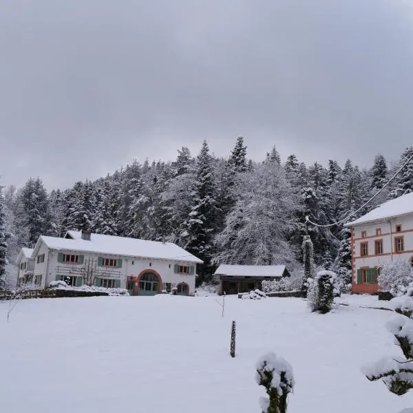 Domaine de Marmonfosse，位于Taintrux的酒店