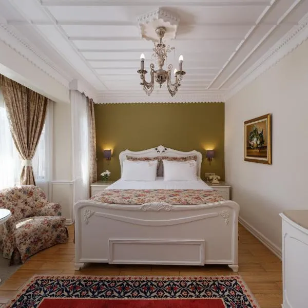 1207 Hotel Special Class Sultanahmet，位于伊斯坦布尔的酒店