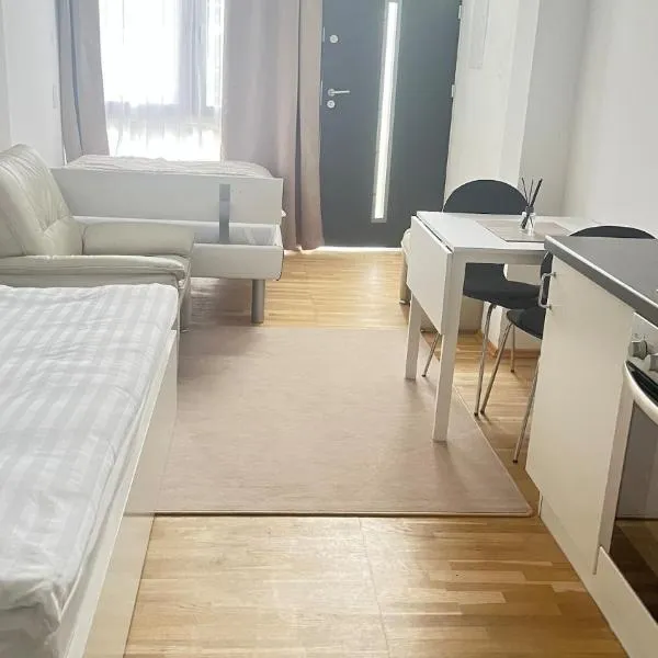 Baadenberger stay D，位于科隆的酒店