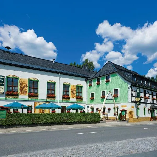 Hotel Gasthof zum Walfisch，位于Zwota的酒店