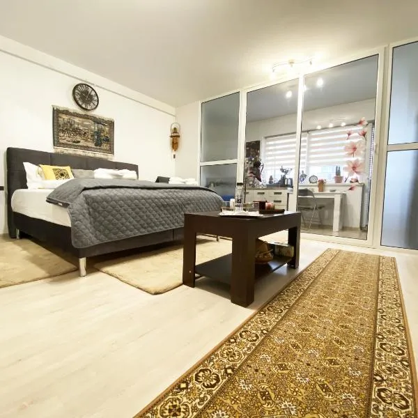 Coresi Escape Studio，位于Sînpetru的酒店