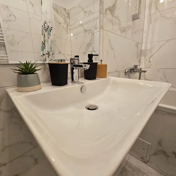 Studio Râșnov VMP Free Parking，位于莱斯诺夫的酒店