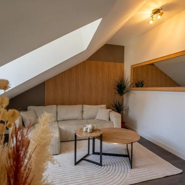 Le Loft - Place Flore - Besançon，位于贝桑松的酒店