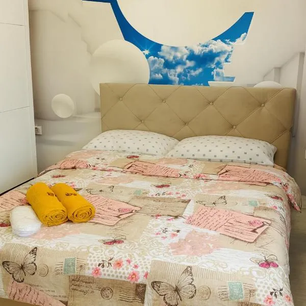 Ho-Jack Dream Studio，位于Roşu的酒店