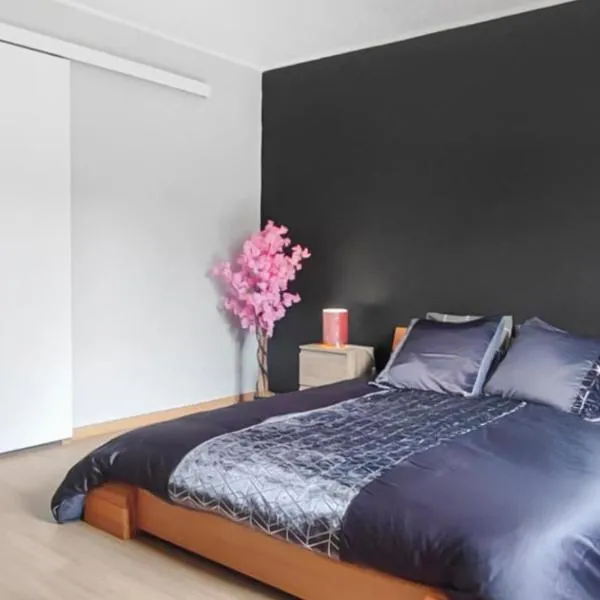 Maison plein pied Béthune, capacité 4 personnes, proche gare，位于贝休恩的酒店