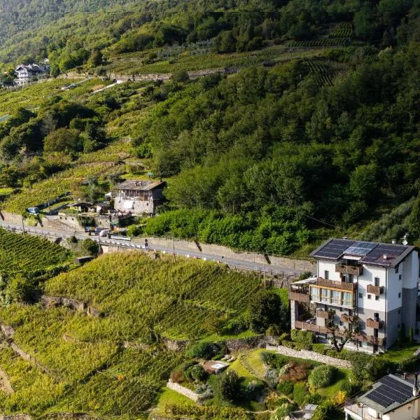 莱蒂希巴尔兹葡萄酒酒店，位于Poggiridenti的酒店