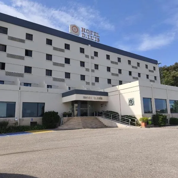 D.路易斯酒店，位于科英布拉的酒店