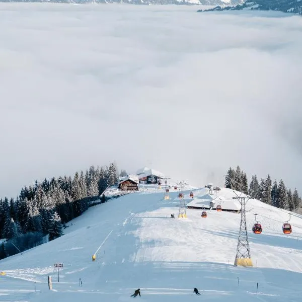 Rinderberg Lodge，位于茨韦西门的酒店