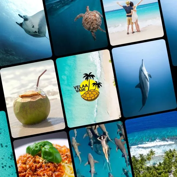 Turtle Hive - Velaa Vani，位于迪弗西的酒店