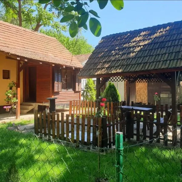 Radetov konak，位于Ðunis的酒店