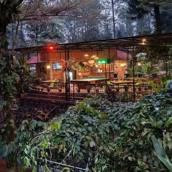 The Pinewood Lodge and Organic Farm，位于Paragajen的酒店
