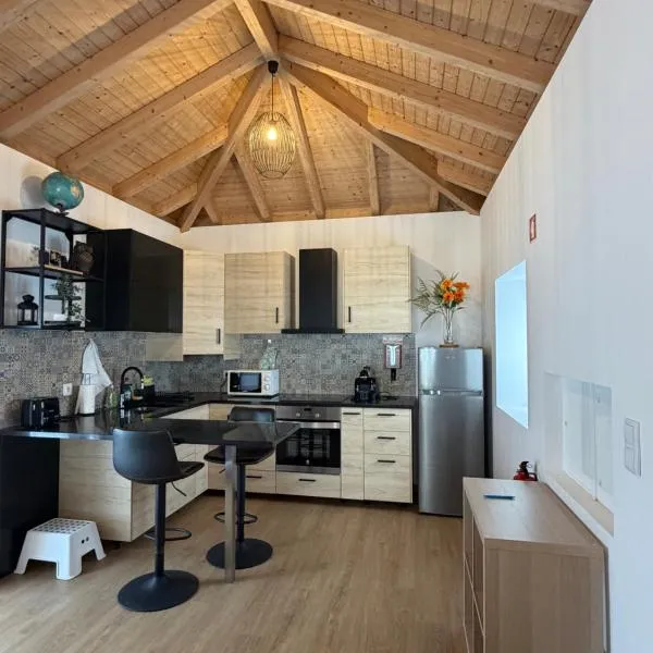 Villa Barbosa，位于Quintiães的酒店