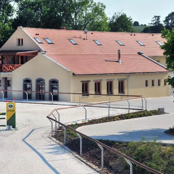 克拉罗维奇杜尔旅馆，位于Třebíz的酒店