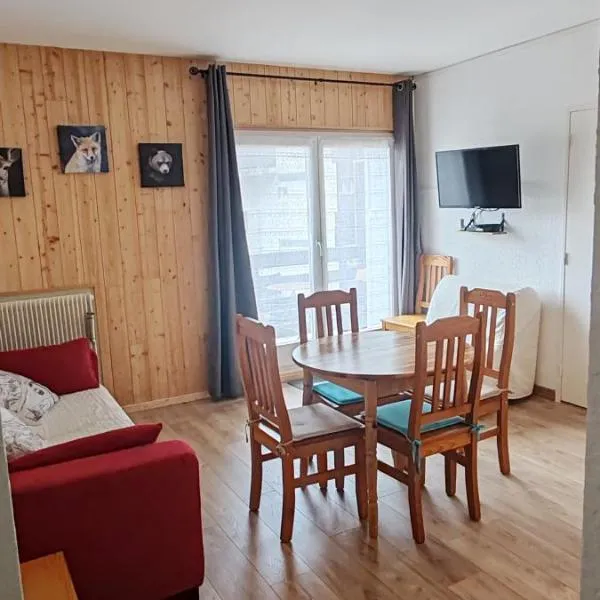 Appart Soleil et montagne，位于安格勒的酒店