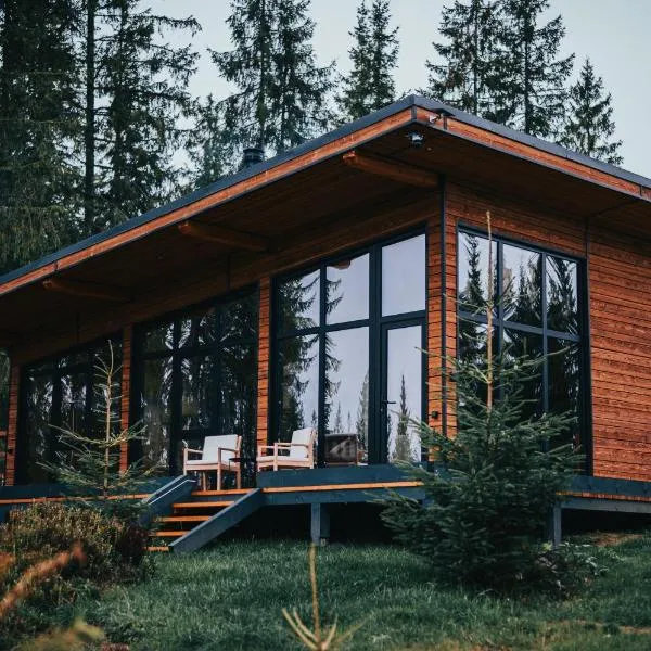 Inima Pustei Cabin，位于Măguri的酒店