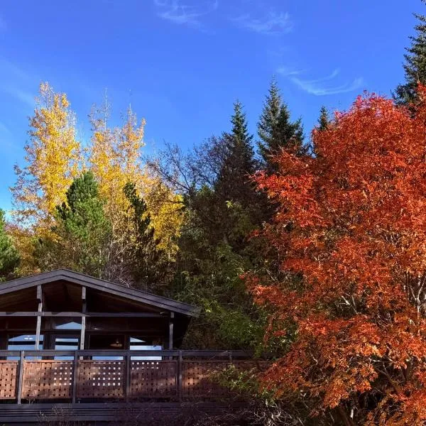 Lovely Cabin in the Capital Area with hot tube，位于哈纳弗约德尔的酒店