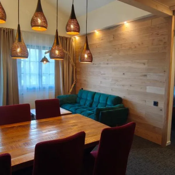 Frostana1600 - apartment in Portes du Soleil，位于香普森的酒店