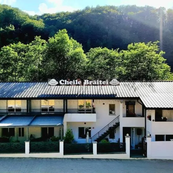 Cheile Braitei，位于Lupeni的酒店