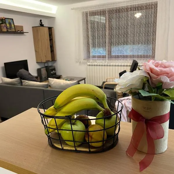 Countryside rest house，位于Novi Banovci的酒店