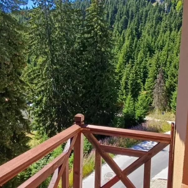 Апартаменти Борови хълмове，位于潘波洛沃的酒店