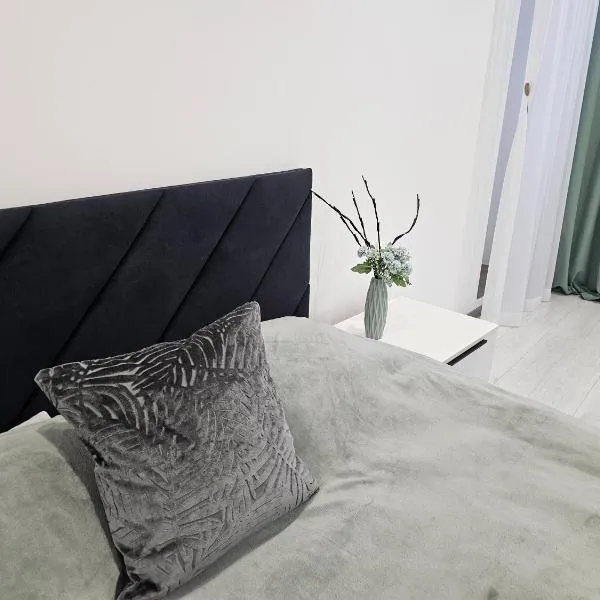 Новинка ЖК Тріумф поряд вокзалу，位于卢茨克的酒店