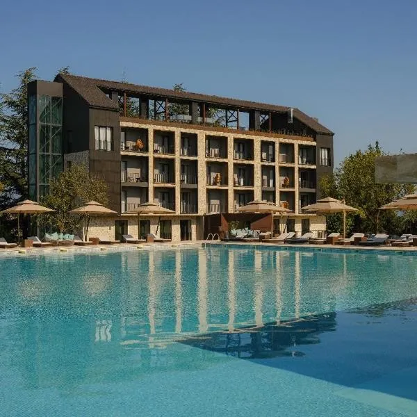 Hotel Meteo Kakheti，位于泰拉维的酒店
