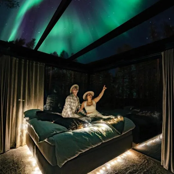 Levi OloResort，位于列维的酒店