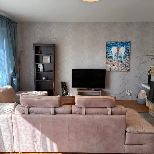 Villa appartment，位于Vinohrady的酒店