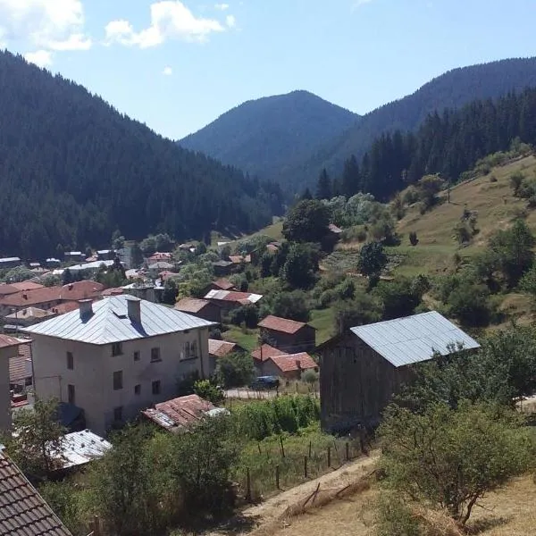 Guest House Jani，位于特里格拉德的酒店