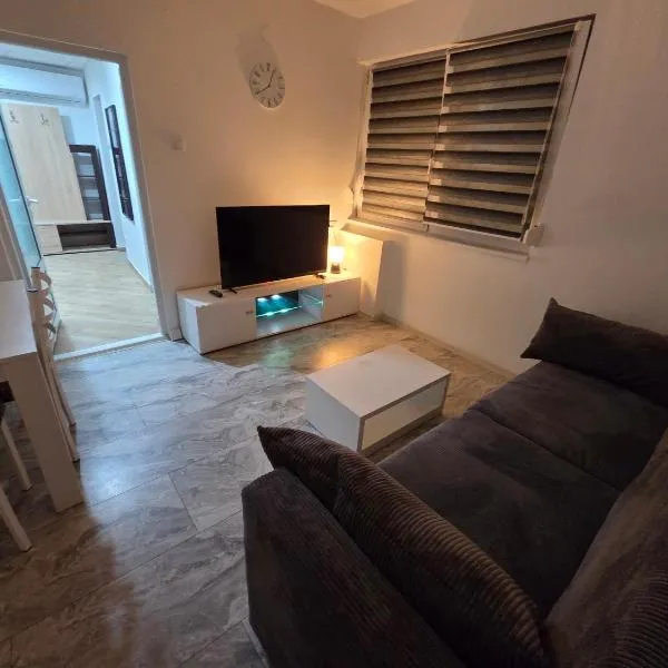 Stan na dan Bor Apartman，位于博尔的酒店