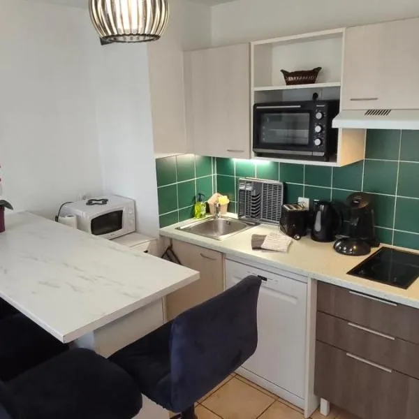 Appartement face à la Gare，位于安纳马斯的酒店