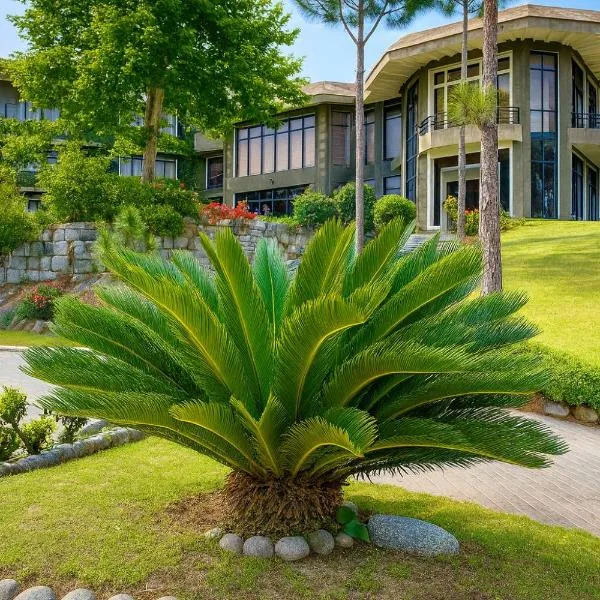 Rock City Resort，位于Mingora的酒店