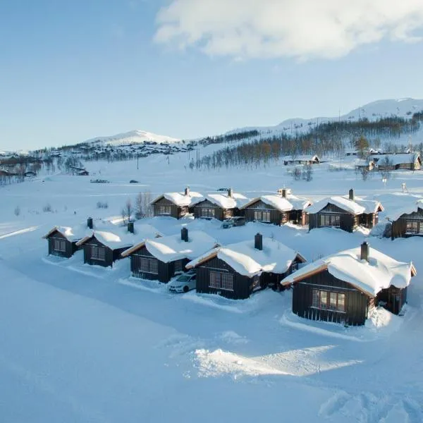 Rauland Feriesenter，位于Rauland的酒店