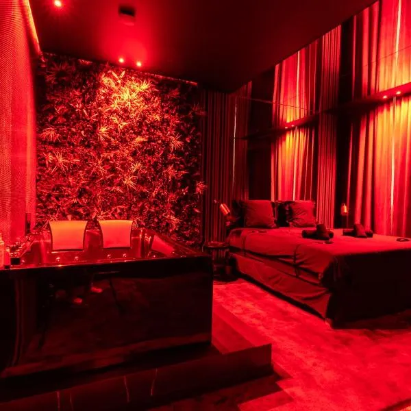 Évasion intime : Love Room de luxe à Cannes，位于戛纳的酒店