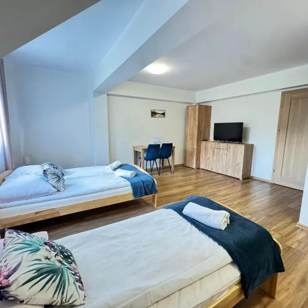 Willa Wioletta，位于什恰夫尼察的酒店