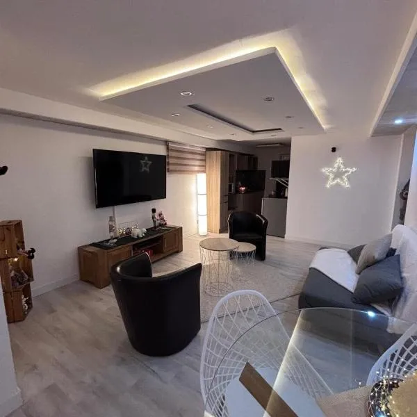 appartement en sous sol，位于Wittelsheim的酒店