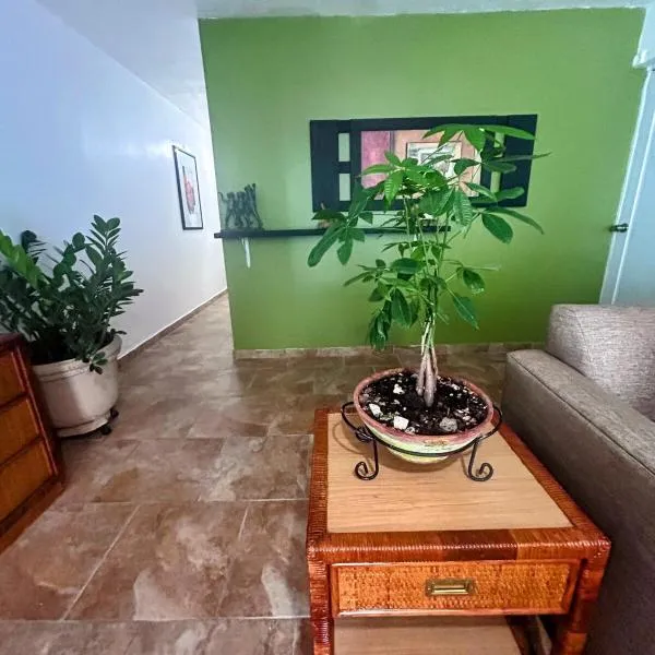 Daisy'Hause 2 to 6 people, ideal for your family，位于卡罗利纳的酒店