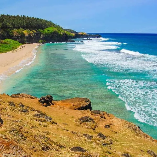 Gris Gris Apartment，位于Souillac的酒店