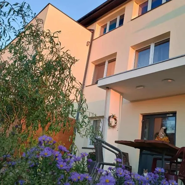 Noclegi nad Biebrzą Stara Szkoła，位于Wroceń的酒店