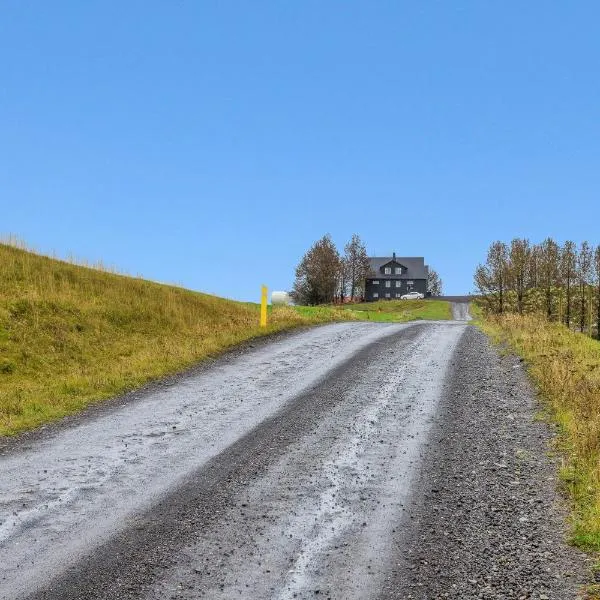 Iceland Inn Apartment 3rd floor，位于Hrepphólar的酒店