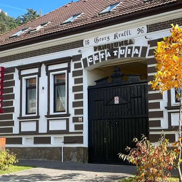 Cetățuia - Ultra Central Râșnov Stay & Parking free，位于莱斯诺夫的酒店