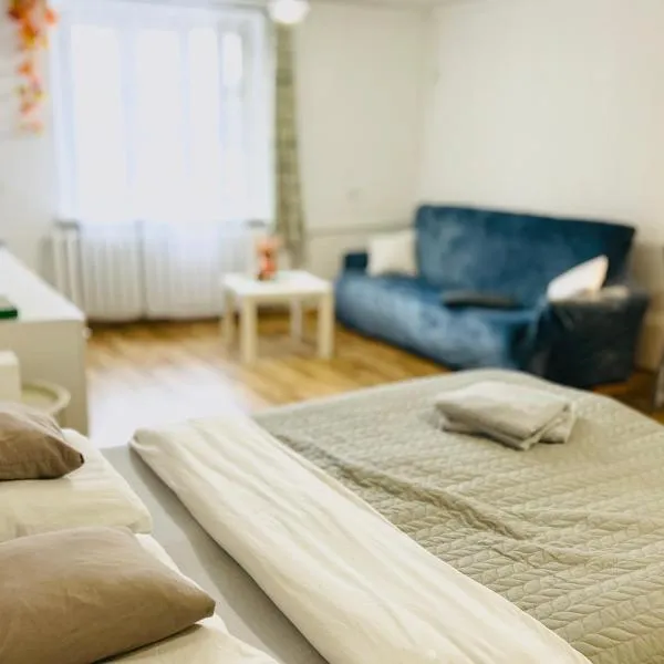 Duży apartament z kuchnią i łazienką w centrum Namysłowa，位于纳梅斯武夫的酒店