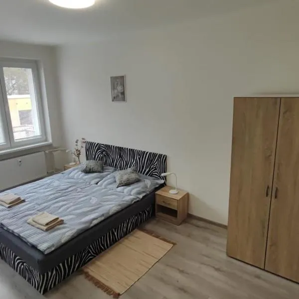 Apartmán V Kraslicích pro 4 osoby, Pohraniční stráže，位于Kraslice的酒店
