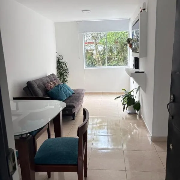 Amplio apartamento 806，位于亚美尼亚的酒店