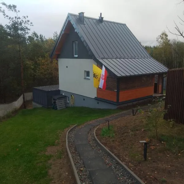 Dom na zboczu Kistowo z Balią, Sauną i basenem letnim，位于苏尔茨兹诺的酒店