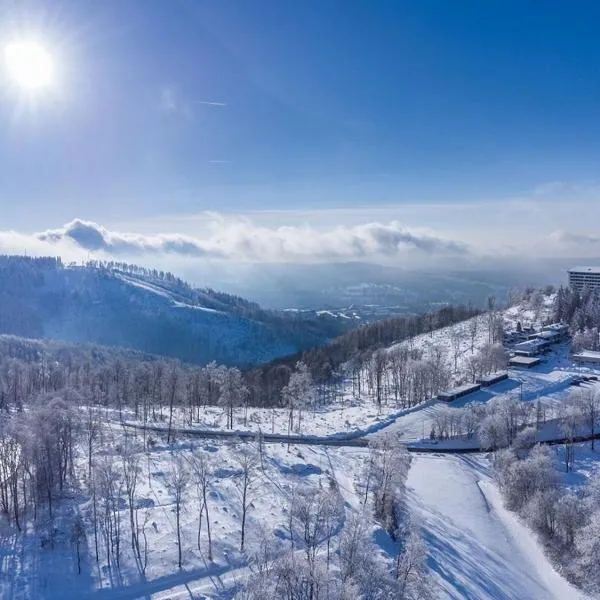瑞里博格酒店，位于苏尔的酒店