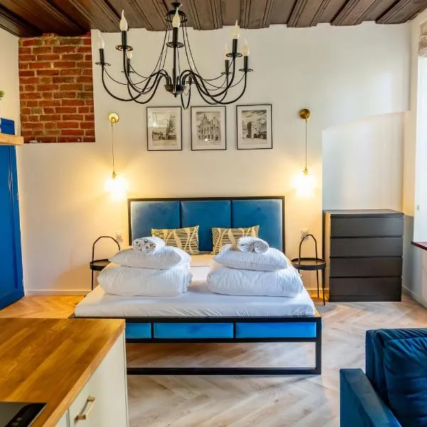 Apartamenty Toruńskie Piekary 12 z klimatyzacją，位于托伦的酒店